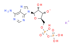 ((2R，3S，4R，5R)-5-(6-氨基-9H-嘌呤-9-基)-3，4-二羟基四氢呋喃-2-基)甲基二磷酸单钾盐