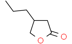 4-丙基二氢呋喃-2(3H)-酮