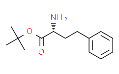 D-高苯丙氨酸叔丁酯