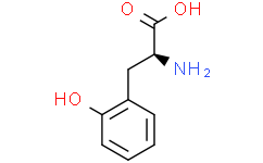 低酪氨酸