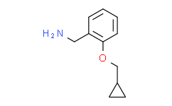 (2-(环丙基甲氧基)苯基)甲胺