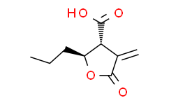 Butyrolactone 3