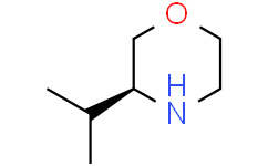 (S)-3-异丙基吗啉