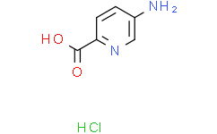 5-氨基吡啶-2-羧酸盐酸盐