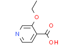 3-乙氧基异烟酸