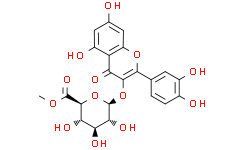 槲皮素-3-O-葡萄糖醛酸-6"-甲酯