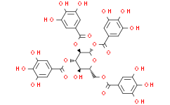 1,2,3,6-四没食子酰葡萄糖