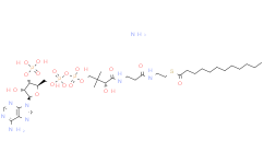 lauroyl Coenzyme A (ammonium salt)