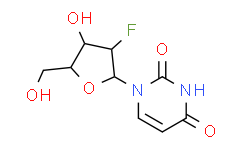 2′-氟脱氧尿苷/2'-脱氧-2'-氟尿苷/2'-氟-2'-脱氧尿苷/DMT保护性-2‘-氟脱氧尿苷/2-FDU
