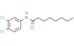 N-(3,4-二氯苯基)辛酰胺