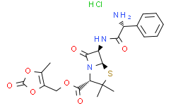 鹽酸侖氨西林