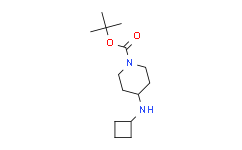 1-N-Boc 4-(Cyclobutylamino) Piperidine