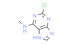 2-氯-6(甲胺基)嘌呤