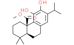鼠尾草酸甲酯