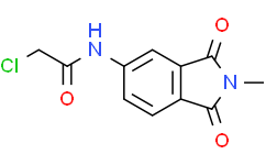 2-氯-N-(2-甲基-1,3-二氧代-2,3-二氢-1H-异吲哚-5-基)乙酰胺