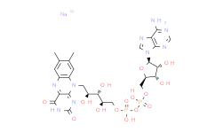 黄素腺嘌呤二核苷酸二钠盐水合物