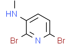 2,6-二溴-N-甲基吡啶-3-胺
