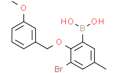 3-溴-5-甲基-2-(3'-甲氧基苄氧基)苯基硼酸