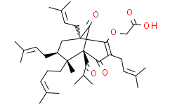 Aristoforin,凋亡因子
