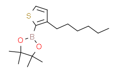 3-己基-2-(4,4,5,5-四甲基-1,3,2-二氧杂环戊硼烷-2-基)噻吩