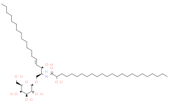 Galactosylceramide d18:1/16:0