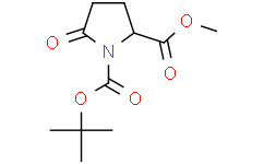 1-叔丁基 2-甲基 5-氧代吡咯烷-1,2-二羧酸酯
