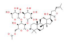 绞股蓝H-2