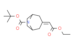 3-(2-乙氧基-2-氧代亚乙基)-8-氮杂双环[3.2.1]辛烷-8-羧酸叔丁酯