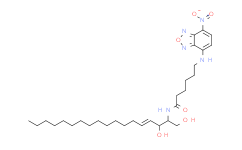 NBD C6-Ceramide（NBD C6-神经酰胺）