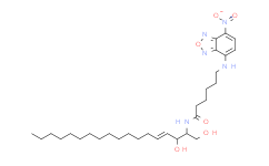 NBD C6-Ceramide（NBD C6-神經(jīng)酰胺）