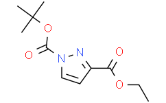 1-(叔丁基)-3-乙基-1H-吡唑-1，3-二羧酸酯