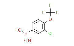 [3-氯-4-(三氟甲氧基)苯基]硼酸