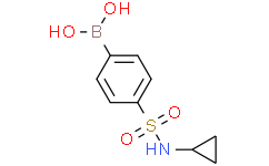N-Cyclopropyl 4-boronobenzenesulfonamide,871329-67-8