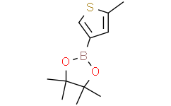 4,4,5,5-四甲基-2-(5-甲基噻吩-3-基)-1,3,2-二氧硼杂环戊烷