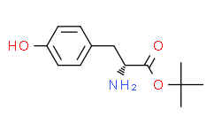 D-酪氨酸叔丁酯
