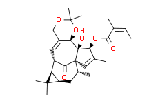 巨大戟醇-5,20-缩丙酮-3-当归酸酯