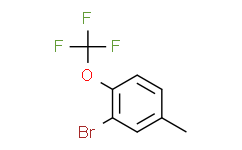 2-溴-4-甲基-1-三氟甲氧基苯