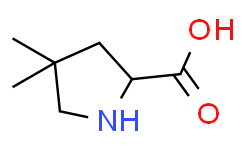 (S)​-​4,​4-​Dimethylpyrrolidine-​2-​carboxylic acid