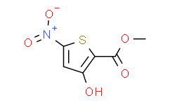3-羟基-5-硝基噻吩-2-羧酸甲酯