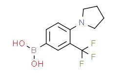 (4-(pyrrolidin-1-yl)-3-(trifluoromethyl)phenyl)boronic acid