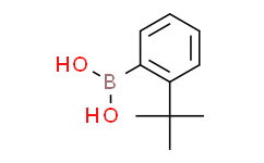 (2-(叔丁基)苯基)硼酸