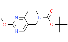 2-甲氧基-7,8-二氢吡啶并[4,3-d]嘧啶-6(5H)-羧酸叔丁酯