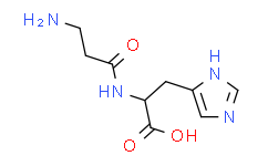 核糖核酸酶A来源于牛胰腺