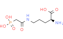 等离子体胺氧化酶/血浆胺氧化酶/PAO