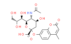 exo-α-神经氨酸酶