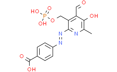 酪氨酸酶