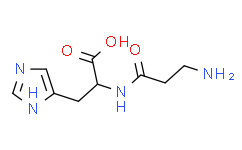 丙酮酸激酶/丙酮酸磷转称酶/磷酸丙酮酸激酶/PK