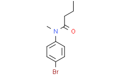 N-(4-溴苯基)-N-甲基丁酰胺