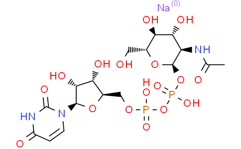 5'-二磷酸尿嘧啶核苷-N-乙酰半乳糖胺二钠盐