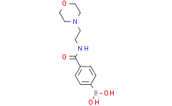 4-(2-Morpholinoethylcarbamoyl)phenylboronic acid